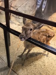 -酷嗒动物文化乐园(cutezoo西溪乐天城店)