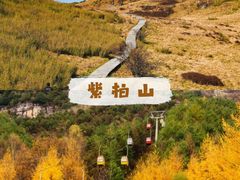 -狮子沟牧场