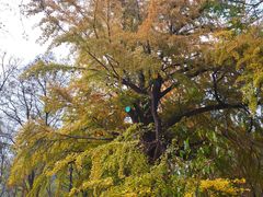 -昆嵛山石门里景区
