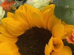 -亭亭鲜花店(中山北路店)