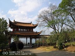 -洱海月湿地公园