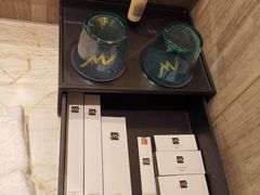 -常州环球恐龙城维景国际大酒店