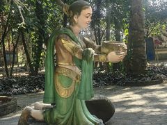 -瑞丽独树成林风景区