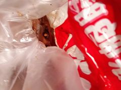 -绝味鸭脖(炫地店)