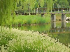 -东郊湿地公园