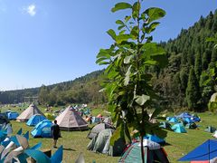 -武陵山森林公园