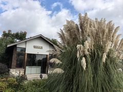 -柳鹭田园区