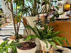 -一尺花园(安和花园店)