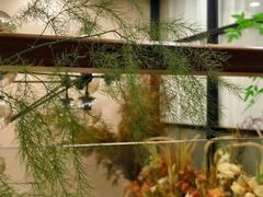 -广州绿地中央广场