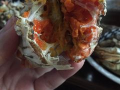 -喜洋洋蟹庄(阳澄湖店)
