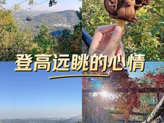 -香山公园
