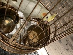 -小厨娘淮扬菜(六合欢乐港店)