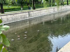 -元大都城垣遗址公园