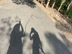 -同里国家湿地公园