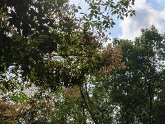 -三江森林温泉度假区