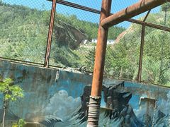 -青藏高原野生动物园