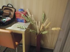 -航廷酒店(深圳宝安机场T3航站楼后瑞地铁站店)