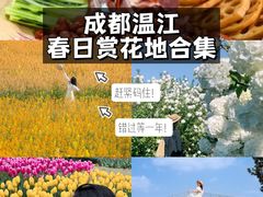 -老鼎万春卤菜(五代传承创始老店)