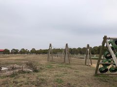 -上海都市菜园
