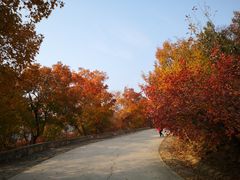 -北京西山国家森林公园