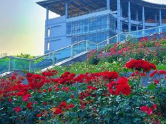 -浙江农林大学(东湖校区)