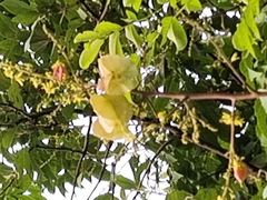 -星美国际影商城(黄龙店)