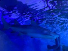 -常州海昌海洋探索馆