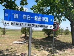 -盐城丹顶鹤湿地生态旅游区