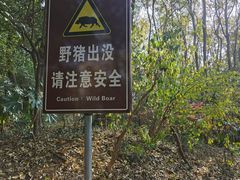 -紫金山山顶公园