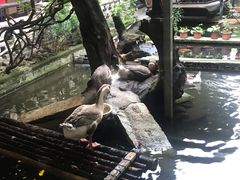 -优之名鹅城
