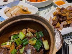 -熠盛粤味·顺德桑拿鸡(永康路店)