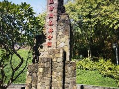 -王借岗森林公园