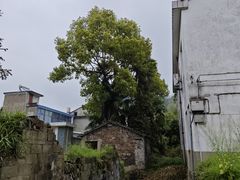 -前童古镇