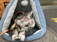 -AMRAP综合体能训练