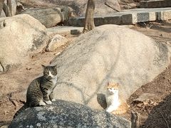 -崂山巨峰游览区