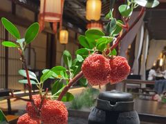 -长安大牌档之龙头酒肆(荣民龙首广场店)
