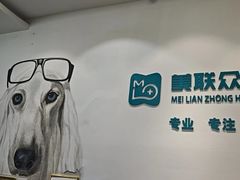 -美联众合动物医院·24h转诊中心