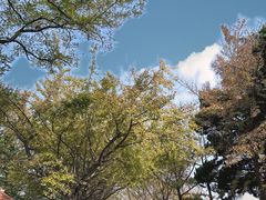 -八大关景区