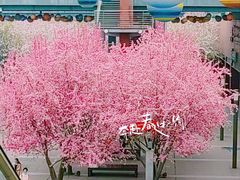 -北京奥林匹克公园