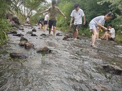 -羊山湖公园