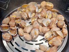 清蒸蛤蜊-领鲜活海鲜榴莲自助火锅(东门店)