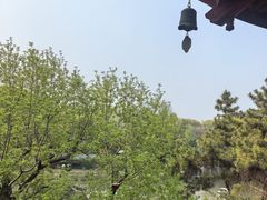 -汇龙潭