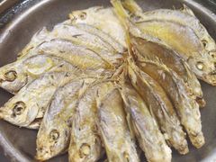 油焗流潺鱼-霞海鸭仔饭店(海滨大道北店)