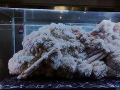 -湖南省地质博物馆