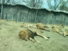 -北京野生动物园