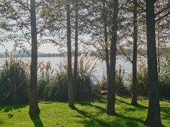 -东湖落雁景区