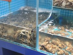 -仙螺岛海鲜自助餐厅(总店)