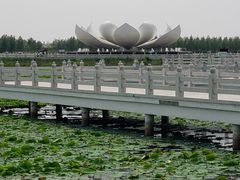 -呼兰河口湿地公园
