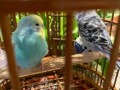 -老湘亲·品鉴湘菜(蔡塘爱琴海店)