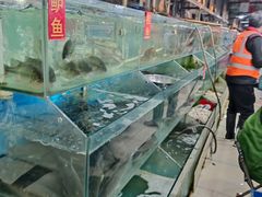 水产区-王四营海鲜市场